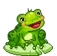 a cute frog